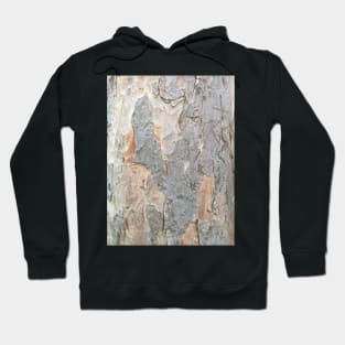 Bark - Plane #1 Hoodie